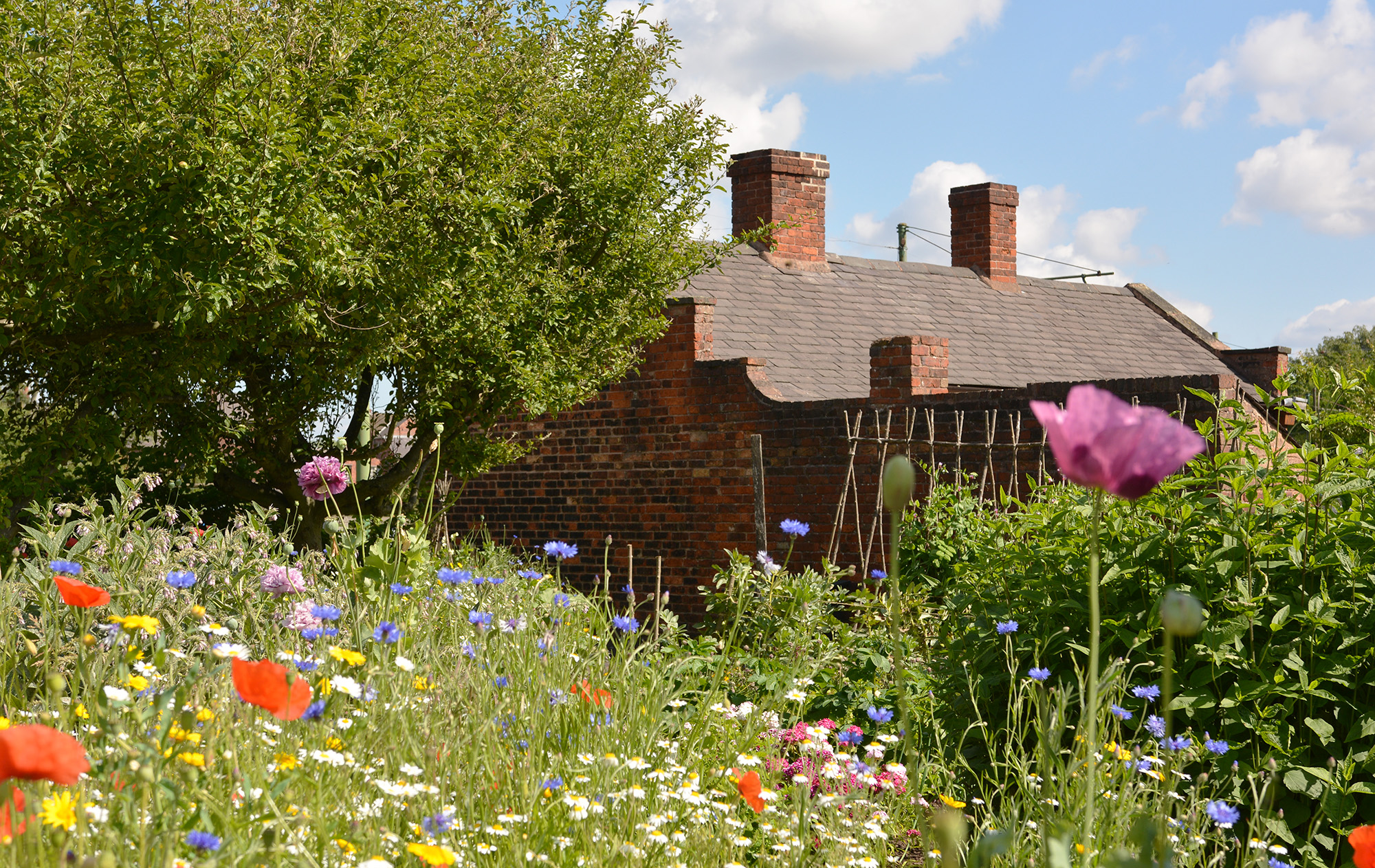 This week – work on road between the Toll House and the Fairground
